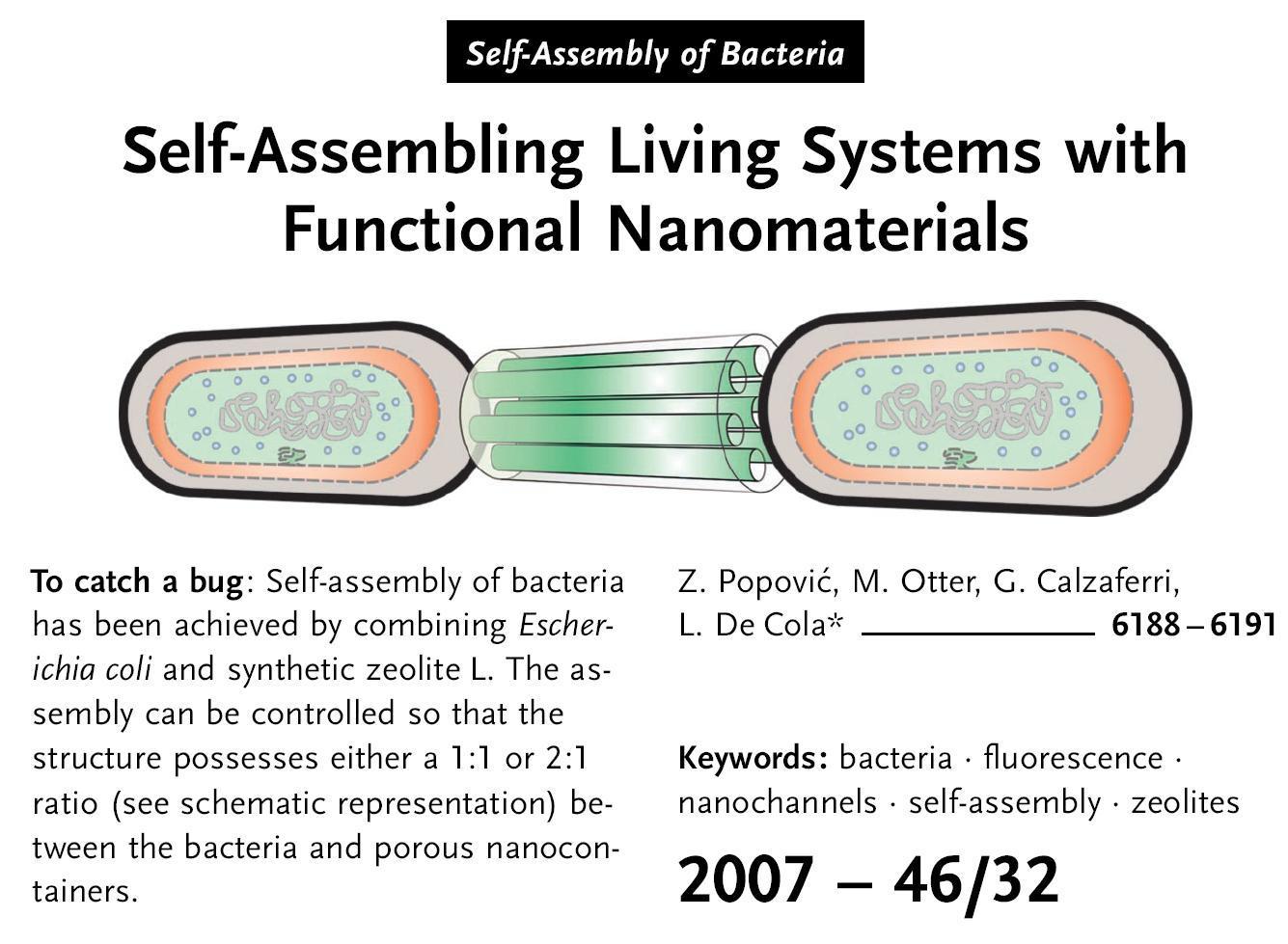 Self-assembling living systems with functional nanomaterials
	Zoran Popovic, Matthias Otter, Gion Calzaferri, Luisa De Cola.
	Angew. Chem. Int Ed.  2007, 46, 6188-6191.  